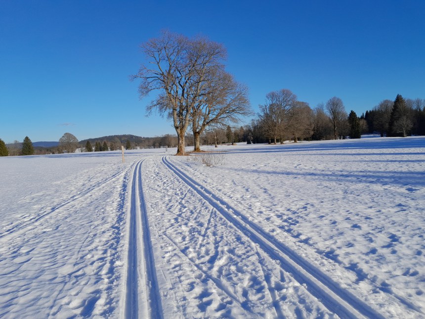 Knížecí pláně na běžkách