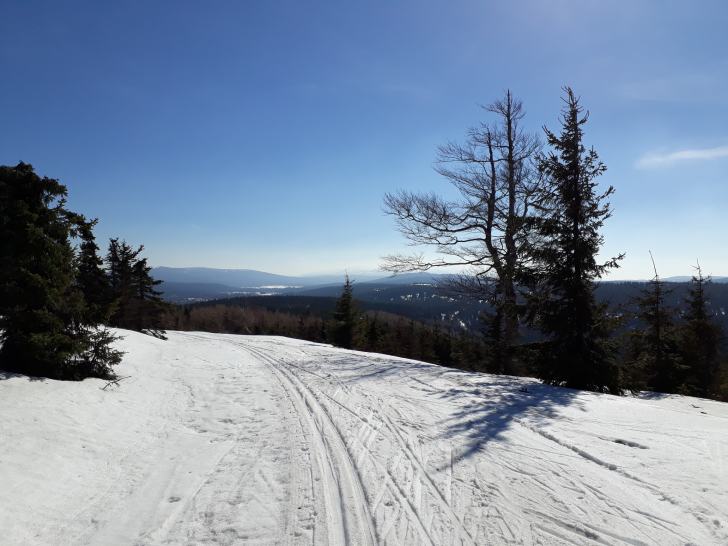 Výhled na Krkonoše z Paličníku.