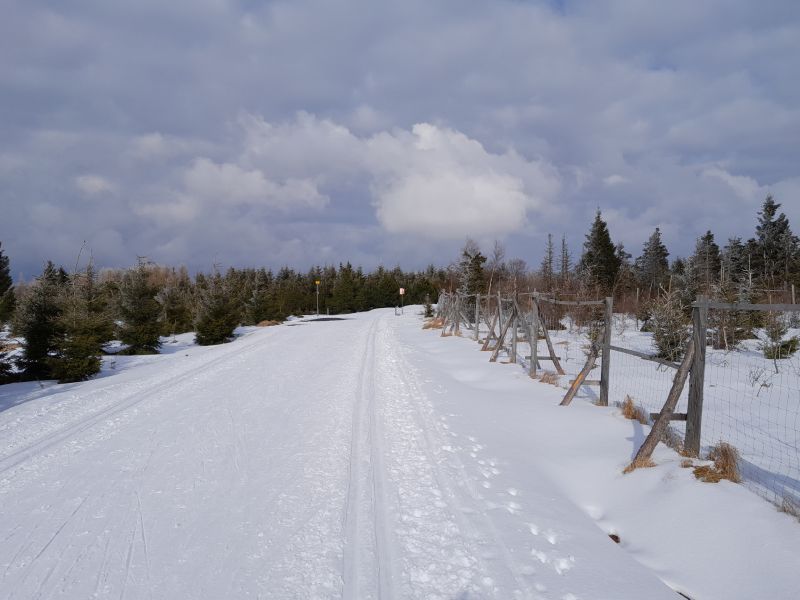 Široká silnice Cínovec - Vitiška: upravená běžecká trať
