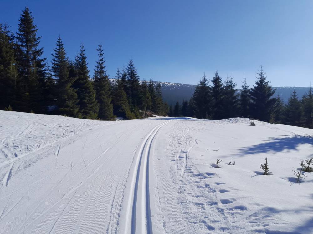 Terex 4 týdny před Velikonocemi