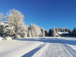 foto z 8:53