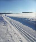 <div id='image-4667' class='caption-container'>
            <div class='caption-show'>
                <div class='caption hidden'></div>
                <div class='caption-actions'>
                                    </div>
            </div>
            <div class='caption-edit hidden'>
                <div id='errors' class='hidden'></div>
                <input class='caption-escaped' name='caption-escaped' placeholder='Začněte psát' type='text'>
                <div class='caption-actions'>
                    <button class='btn-sm btn button--blue save-caption'>Uložit</button>
                    <a class='btn-sm btn cancel-caption'>Zrušit</a>
                </div>
            </div>
        
            <div class='cords-edit-container'>
                <div class='cords-show'>
                                </div>
                <div class='cords-edit hidden'>
                    <div id='message-save-cords' class='message warning hidden'>Prosím, uložte souřadnice</div>
                    <div id='message-cords-error' class='message error hidden'></div>
                    <button class='btn choose-cords button--blue' onclick='gtag('event', 'add_report', {'position': 'Edit images','pagetype': 'Position from map'});'>Vybrat z mapy</button>
                    <p>nebo zadat souřadnice manuálně</p>
                    <input class='cords-escaped-latitude' name='cords-escaped-latitude' placeholder='Zeměpisná šířka' type='text' value='' >
                    <input class='cords-escaped-longitude' name='cords-escaped-longitude' placeholder='Zeměpisná délka' type='text' value=''>
                    <div>
                        <label class='cords-accurate-label'><input type='checkbox' id='cords-accurate-checkbox' name='accurate'>Označit jako nepřesné</label>
                    </div>
                    <div class='cords-actions'>
                        <button class='btn-sm btn button--blue save-cords'>Uložit</button>
                        <a class='btn-sm btn cancel-cords'>Zrušit</a>
                    </div>
                </div>
            </div>
        </div>