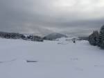 foto z 12:15