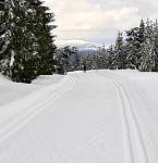 <div id='image-2873' class='caption-container'>
            <div class='caption-show'>
                <div class='caption hidden'></div>
                <div class='caption-actions'>
                                    </div>
            </div>
            <div class='caption-edit hidden'>
                <div id='errors' class='hidden'></div>
                <input class='caption-escaped' name='caption-escaped' placeholder='Začněte psát' type='text'>
                <div class='caption-actions'>
                    <button class='btn-sm btn button--blue save-caption'>Uložit</button>
                    <a class='btn-sm btn cancel-caption'>Zrušit</a>
                </div>
            </div>
        
            <div class='cords-edit-container'>
                <div class='cords-show'>
                                </div>
                <div class='cords-edit hidden'>
                    <div id='message-save-cords' class='message warning hidden'>Prosím, uložte souřadnice</div>
                    <div id='message-cords-error' class='message error hidden'></div>
                    <button class='btn choose-cords button--blue' onclick='gtag('event', 'add_report', {'position': 'Edit images','pagetype': 'Position from map'});'>Vybrat z mapy</button>
                    <p>nebo zadat souřadnice manuálně</p>
                    <input class='cords-escaped-latitude' name='cords-escaped-latitude' placeholder='Zeměpisná šířka' type='text' value='' >
                    <input class='cords-escaped-longitude' name='cords-escaped-longitude' placeholder='Zeměpisná délka' type='text' value=''>
                    <div>
                        <label class='cords-accurate-label'><input type='checkbox' id='cords-accurate-checkbox' name='accurate'>Označit jako nepřesné</label>
                    </div>
                    <div class='cords-actions'>
                        <button class='btn-sm btn button--blue save-cords'>Uložit</button>
                        <a class='btn-sm btn cancel-cords'>Zrušit</a>
                    </div>
                </div>
            </div>
        </div>