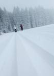 foto z 12:30